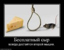 Ігор Павлюк фотография #27 (источник - https://vk.com/id13193503)