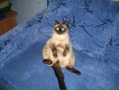 София Иванова фотография #17 (источник - https://vk.com/id80859)