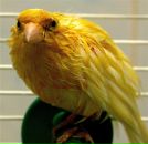 Фотография Цалера Олега