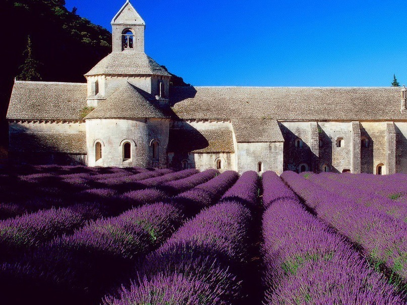 Ольга Петрова фотография #36