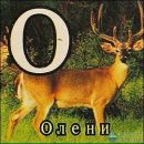 Андрій Конзюба фотография #48 (источник - https://vk.com/id126428404)