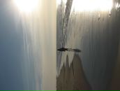 Фотография Лукашенко Иры