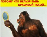 Фотография Истоминой Марии