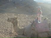 Фотография Катаев Александр