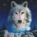 Вікторія Кибалюк фотография #33 (источник - https://vk.com/id37060711)
