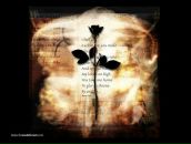 Тамаритто Ck фотография #50 (источник - https://vk.com/id860347)