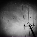 Иван Рыбак фотография #7 (источник - https://vk.com/id3502154)