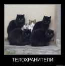 Ірина Паславська фотография #17 (источник - https://vk.com/id7136995)