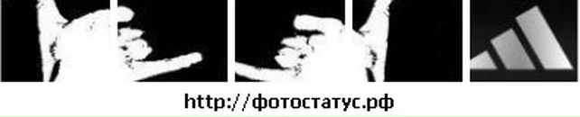 Роман Нахтіґаль фотография #41 (источник - https://vk.com/id51914240)