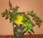 Фотография Церковной Надежды