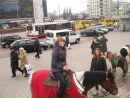 Юлія Тівікова фотография #14 (источник - https://vk.com/id158471754)