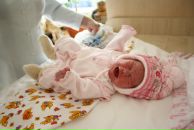 Фотография Лебедева Александра