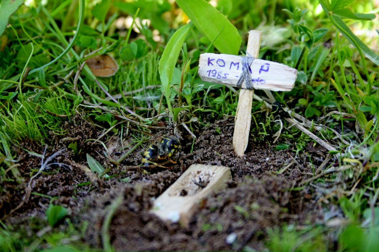 Дмитрий Дмитрий фотография #13