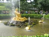 Фотография Щепиной Натальи