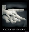 Фотография Семенова Дмитрия