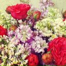 Анна Кот фотография #10 (источник - https://vk.com/id49155)