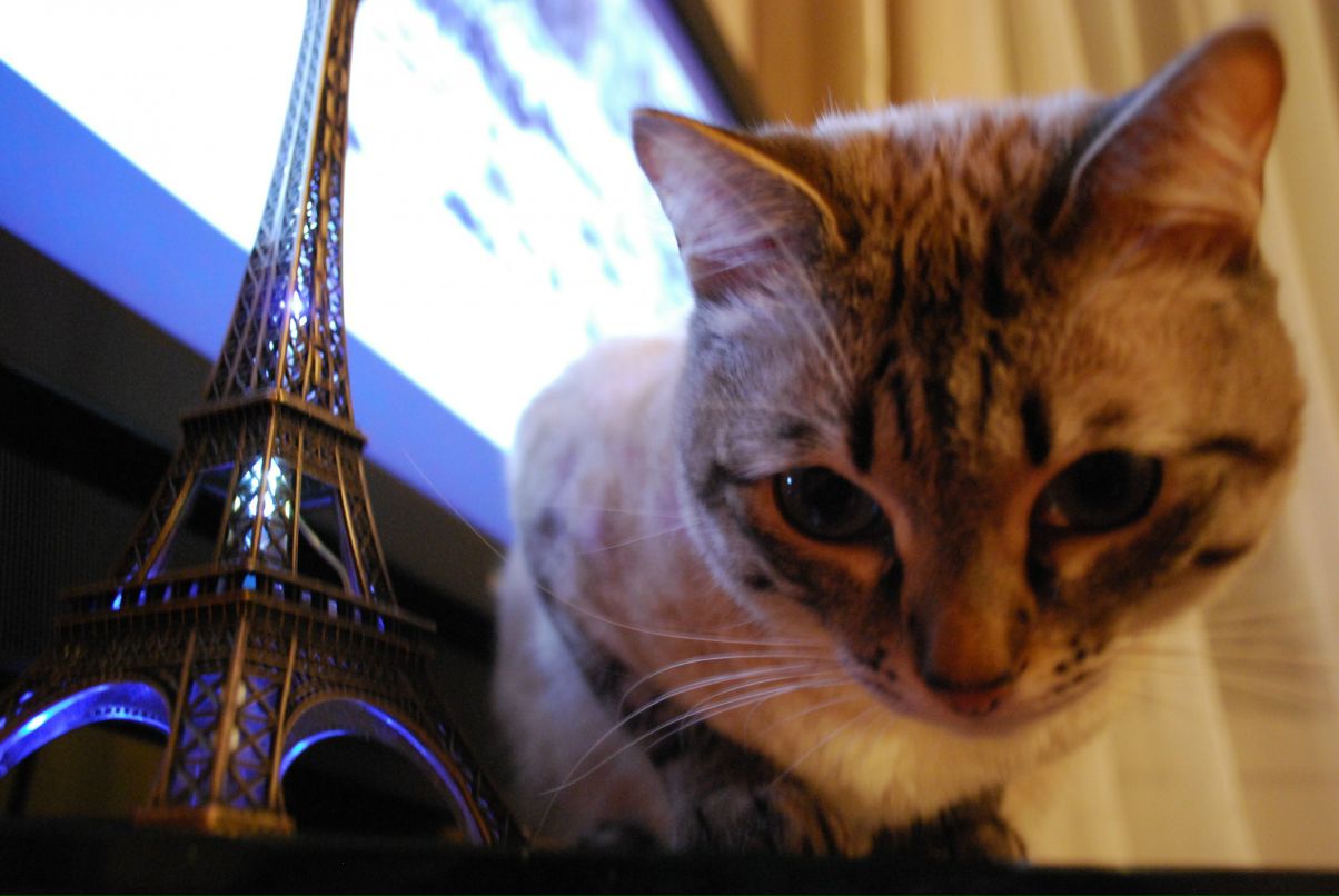 Mata Kimi фотография #7