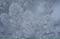 Иван Бондарев фотография #3 (источник - https://vk.com/id9838241)