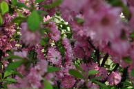 Viktoria Barabanova фотография #30 (источник - https://vk.com/id3774708)