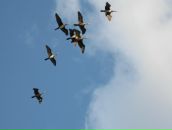 Дмитрий Селентьев фотография #26 (источник - https://vk.com/id418168)