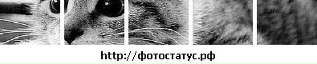 Ігор Чепак фотография #44 (источник - https://vk.com/id51813439)