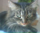 Фотография Орловой Анастасии