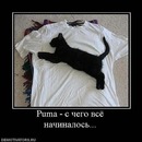 Фотография Чеснокова Сергея