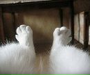 Фотография Лодыгиной Насти
