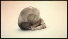 Фотография Авдюнин Лёха