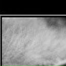 Сергій Сидоренко фотография #47 (источник - https://vk.com/id81606312)