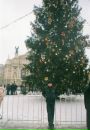 Надєжда Борута фотография #24 (источник - https://vk.com/id55012847)