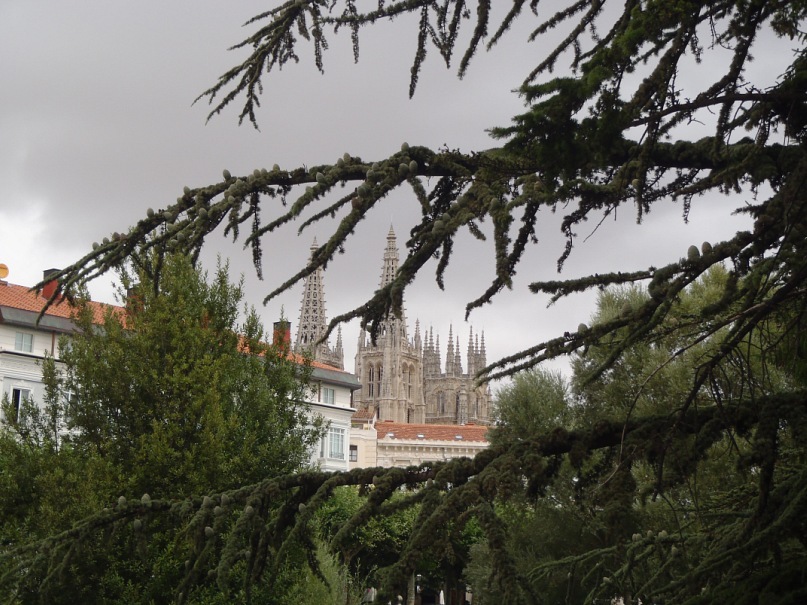 Оля Тимофеева фотография #7