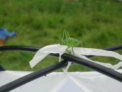 Фотография Сироткина Димки