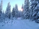 Вовік Гаврищук фотография #4 (источник - https://vk.com/id58373428)