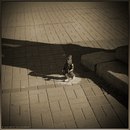 Юрій Ковальський фотография #17 (источник - https://vk.com/id132603403)