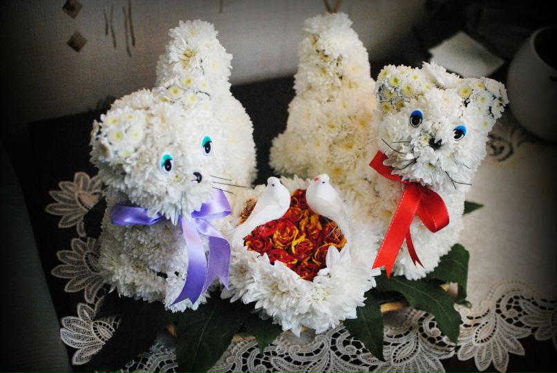 Антон Одокиенко фотография #16