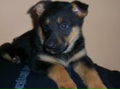 Сергій Токарчук фотография #7 (источник - https://vk.com/id63166642)