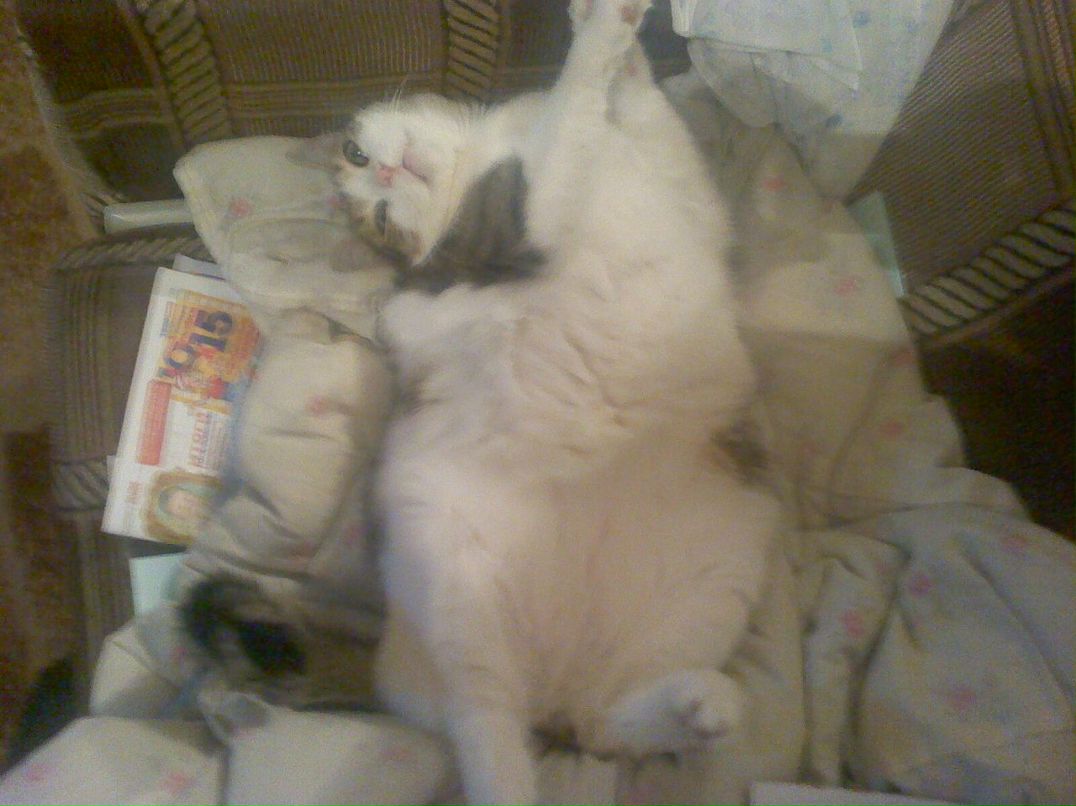 Антон Симаков фотография #39