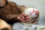 Фотография Батова Дмитрия