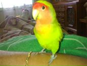 Лілія Граневич фотография #45 (источник - https://vk.com/id11622039)