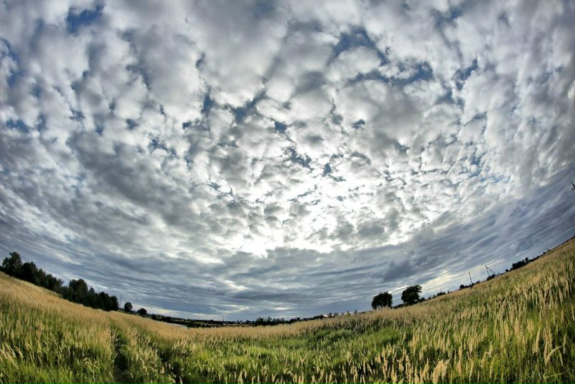 Дарья Кошман фотография #12