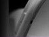 Павліна Чибрик фотография #11 (источник - https://vk.com/id123641202)