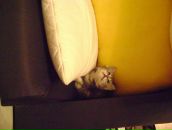 Полина Иванова фотография #4 (источник - https://vk.com/id402498)