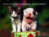 Фотография Пироговой Дарьи