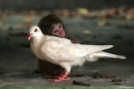 Фотография Маркишич Жанны