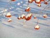 Фотография Зацепиной Анны