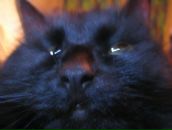 Фотография Громовой Юлечки