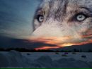Фотография Горчак Ольги