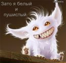 Ярослав Допіра фотография #20 (источник - https://vk.com/id24032434)