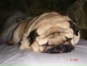 Фотография Ледяевой Ксаны